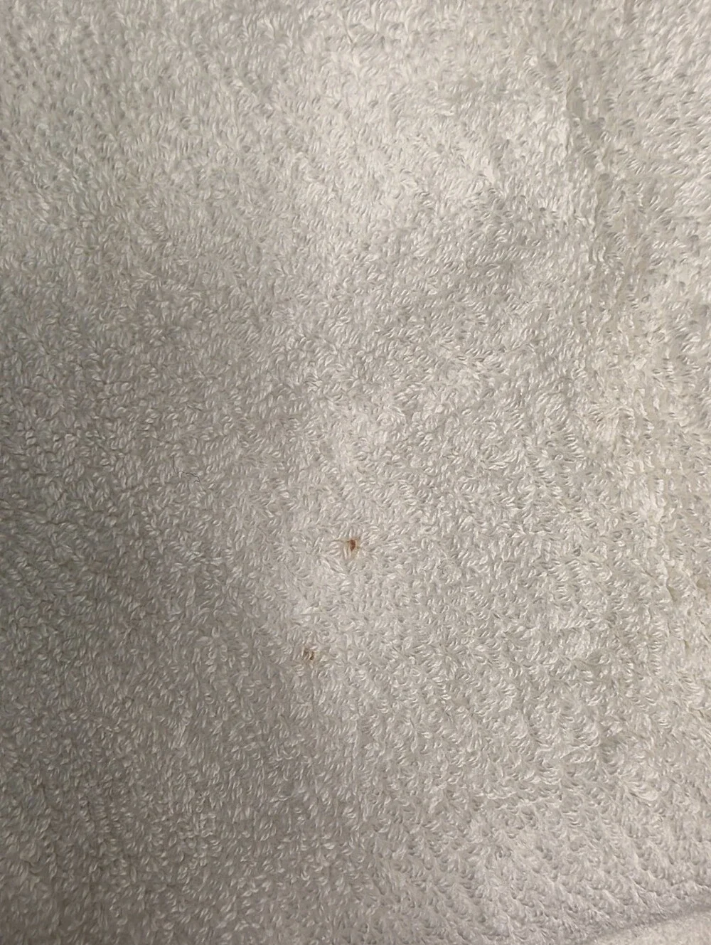 Restoration Hardware NWT Monogram R Hotel Satin Stitch Hand Towels Set of 2 Crea